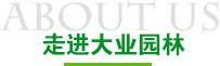 走进十博体育