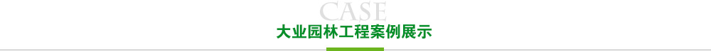 十博体育工程案例展示