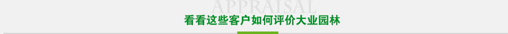 看看这些客户如何评价十博体育